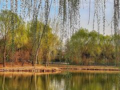 -东郊湿地公园