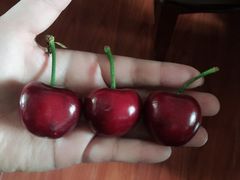 -鲜果壹号(苏站路店)