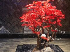 -红辣椒·川菜·火锅(大洋中心店)