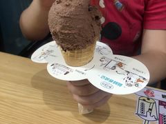 -野人先生现做冰淇淋(北京顺义祥云小镇店)