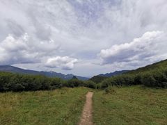 -秦岭风景区