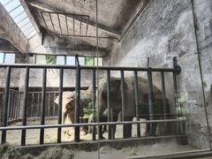 -石家庄市动物园