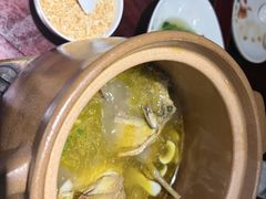 土鸡汤-集贤门·徽菜(南山店)