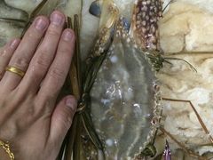 -阳江餐厅·30年老字号·粤菜海鲜大排档