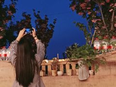 景观位-木辛水水冰煮羊(凤城六路店)