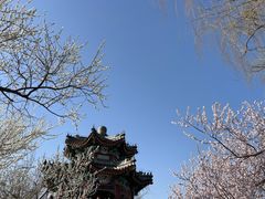 -颐和园