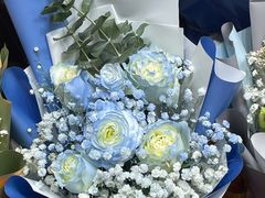 -循礼门鲜花花市(武汉循礼门店)