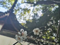 -汇龙潭