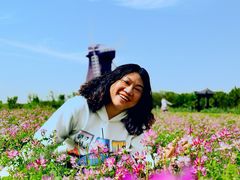 -武汉紫薇都市田园