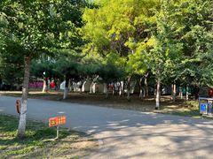 -长白岛森林公园