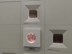 -中国茶叶博物馆(双峰馆区)