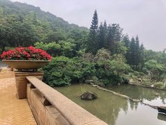 -云溪植物园