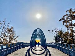 -大兴滨河森林公园