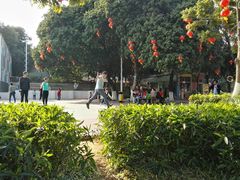 -天河儿童公园