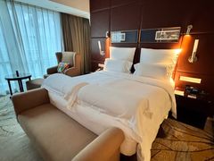 -广州白云机场雅高铂尔曼大酒店