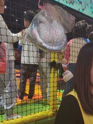 -蹦蹦跳跳(新奥购物中心店)