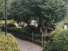 -竹子庵公园