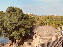 -东莞市可园博物馆