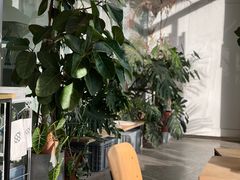 -DEEP COFFEE(瑞光烘焙工厂店)