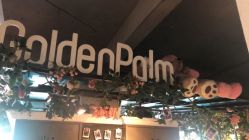 点击看大图 -金棕榈