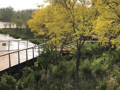 -东郊湿地公园