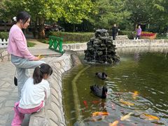-北京市海淀外国语实验学校