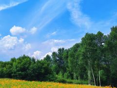 -长春世界雕塑园冰雪艺术天地