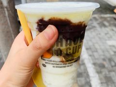 -苏玉海苏记奶酪