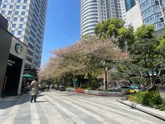-万寿斋(山阴路店)