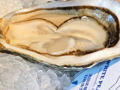 -普朗姆生蚝吧(原建国路店)