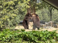 -北京野生动物园