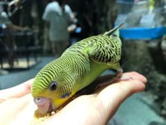 -zoonana室内动物园(东方福来德店)