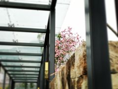 -千峡湖生态旅游度假区