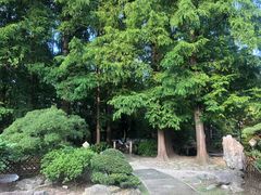 -中山公园