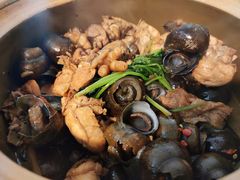 招牌必点-田螺鸡煲-食爺炭炉鸡煲·烧烤