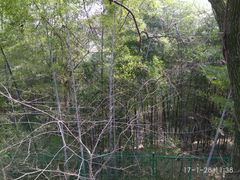 -上海佘山国家森林公园西佘山园