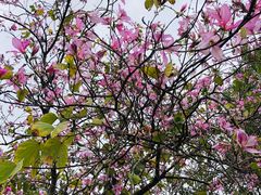 -华南国家植物园-售票处