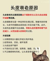 -Bollins波林丝•专研护发中心