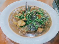 -全乐鱼馆·淳牌有机鱼直营店