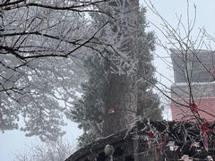 -妙峰山风景名胜区