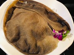 -锅说大脸毛肚重庆老火锅(佐阾店)