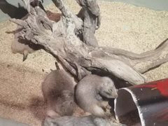 -正佳雨林生态植物园