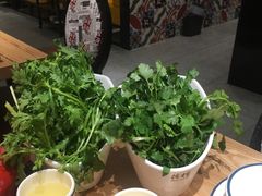 -掂档潮汕牛肉火锅(沈阳万象城店)