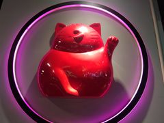 -猫抓烤肉(春熙路店)