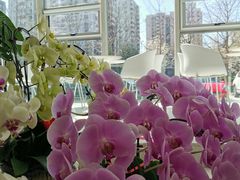 -张一元茶庄(望京店)