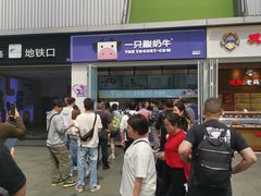 -一只酸奶牛(春熙路店)