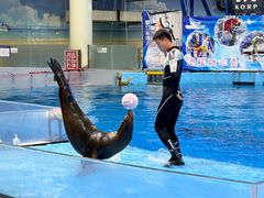 -合肥海洋世界
