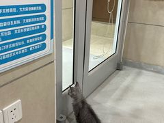 -谐和益家动物医院·免疫绝育·血液透析·宠保定点医院(高新伊藤分院)