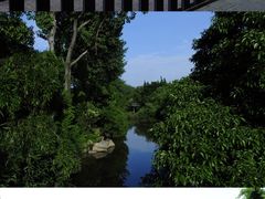 -上海滨江森林公园