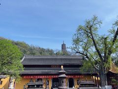 -永安鱼庄·镇江菜(丁卯店)